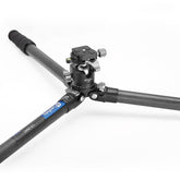 Leofoto Ranger LS-284C Carbon Fiber Tripod with LH-30 Low Profile Ballhead & Separate Center Column